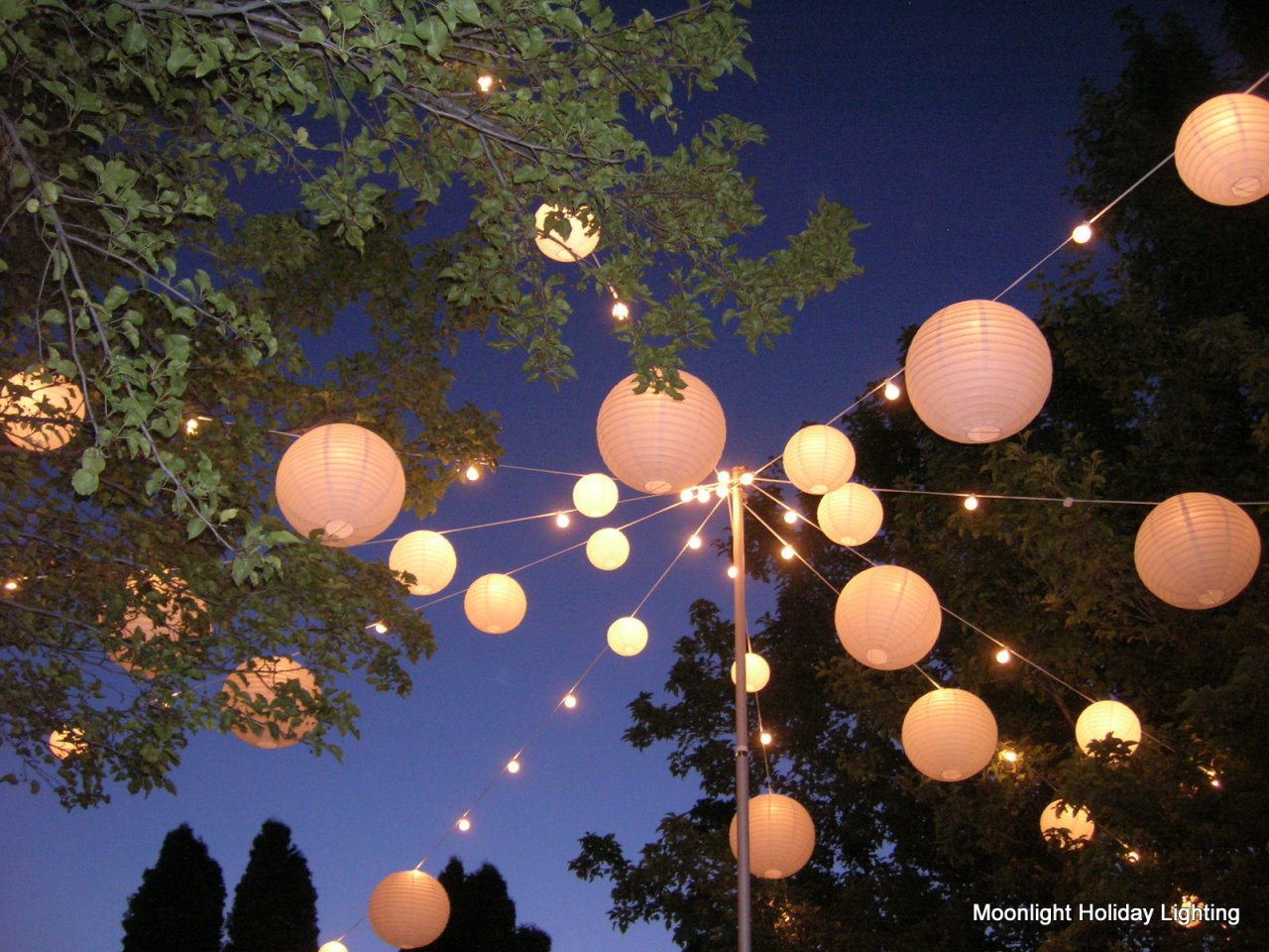 Autumn Wedding Expo