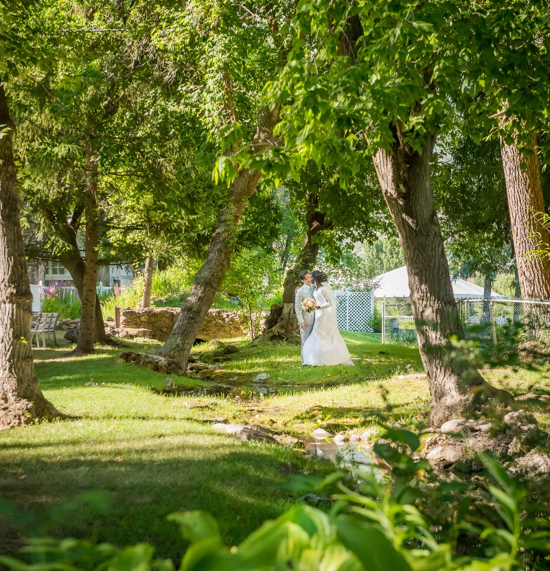 The Hidden Homestead at Coyote Creek Stables 2
