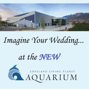 Loveland Living Planet Aquarium - Utah Wedding Venues in Draper, Utah | Salt Lake Bride