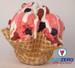 Sub Zero Ice Cream - Wedding Caterers & Cakes in Utah, Utah | Salt Lake Bride
